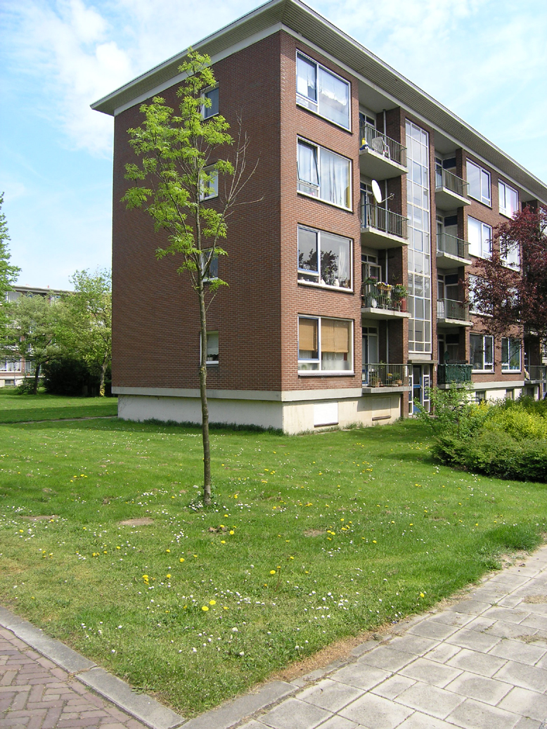 flat Dordrecht-West