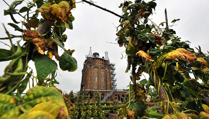 Watertoren, Oranjelaan 7